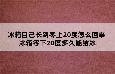 冰箱自己长到零上20度怎么回事 冰箱零下20度多久能结冰